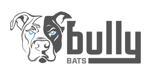 Bully Bats logo